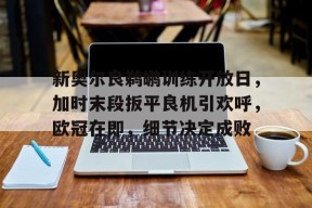 开云体育在线平台-新奥尔良鹈鹕训练开放日，加时末段扳平良机引欢呼，欧冠在即，细节决定成败的简单介绍