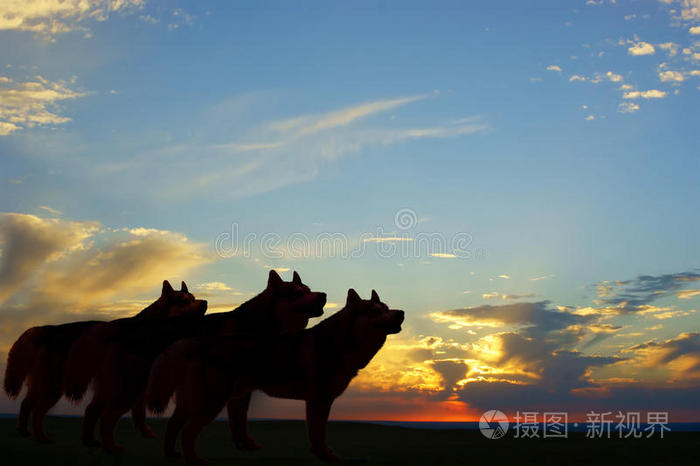 关于举重夜战:江汉飞鹰队绝杀皖南犀牛队,速度优势明显黑马成最大惊喜的信息 关于举重夜战:江汉飞鹰队绝杀皖南犀牛队,速度优势明显黑马成最大惊喜的信息